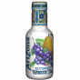 náhled AriZona 0,45L White tea Blueberry