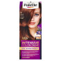 náhled Palette color R4 kastanovy 5-68