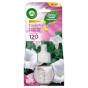 náhled Airwick 19ml Smooth satin & Moon lily