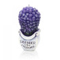 náhled Bartek boutique lavender bukiet 140 Folie