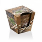 náhled bartek 115g Coffee a spice