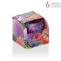 náhled bartek 100g berries ice(d25)