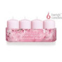 náhled bartek svicky advent 4ks cherry blossom /thang 240g