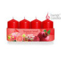 náhled Bartek svicky advent 4ks thang 240g mix red a pink