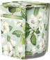 náhled Bispol sklo 100g SN72S-40 spring refreshment