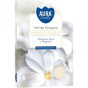 náhled Bispol Aura čajové svíčky 6ks white flower
