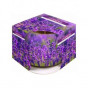náhled Bispol sklo SN71s 100g lavender