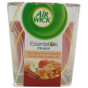 náhled airwick essen 105g infusion
