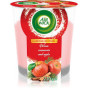 náhled Airwick svička 220g warm cinnamon a apple