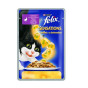 náhled Felix Sensations kapsicky 100g kachnou v zele