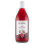 náhled Red wine vinegar ocet z červeného víno 1L
