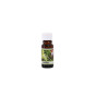 náhled Olej 10ml Vanilka/dau thom
