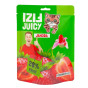 náhled Fizi juicy bonbon 100g Jahoda