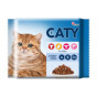 náhled Akinu Caty 4x100g kapsičky pro kočky 200631