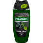 náhled Palmolive sprchový gel 250ml M Forest fresh
