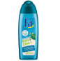 náhled Fa 250ml SG Brach love