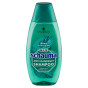 náhled Schauma šampón 400ml Mint Lemongrass