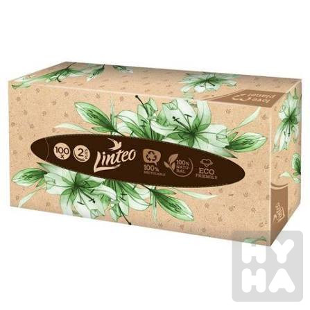 Linteo kapesniky v krabici 100ks 2vr.