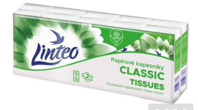 Linteo kapesníky 2 vrstvy 10x10