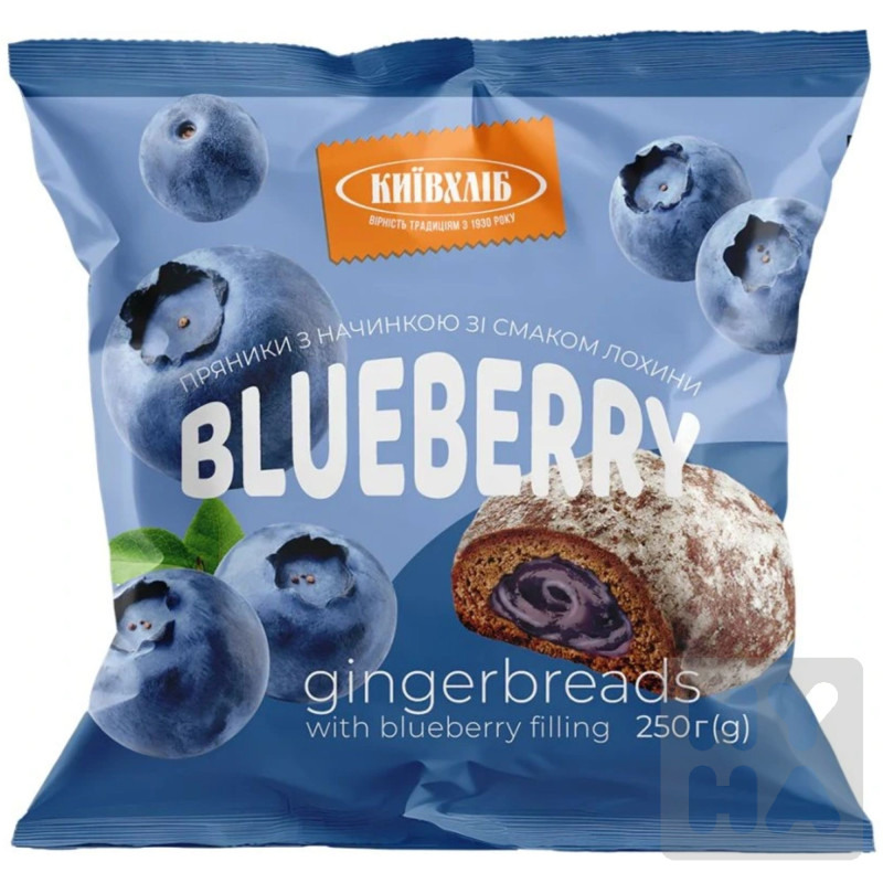 Alviva Perníčky 250g s náplní Borůvky