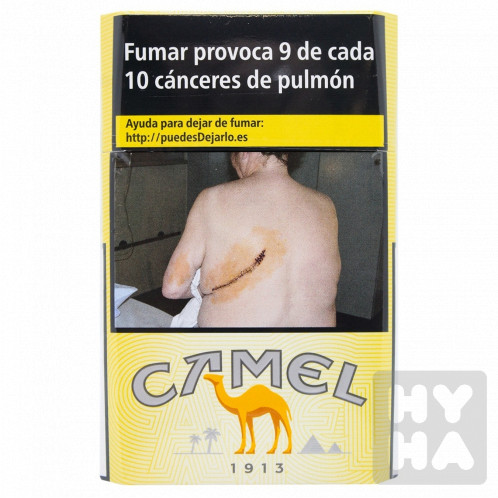 Camel Filters (148)