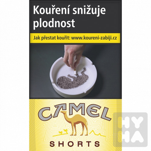 Camel short (137)