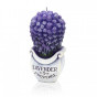 náhled Bartek boutique lavender bukiet 140 Folie