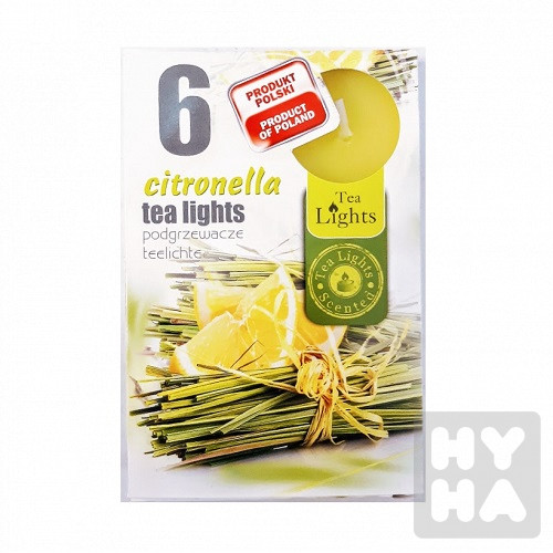 Admit tea light 6ks Citronella