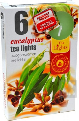 Admit tea light 6ks Eucalyptus