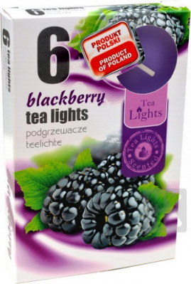 Admit tea light 6ks Blackberry