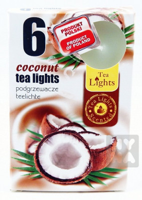 Admit tea light 6ks Coconut