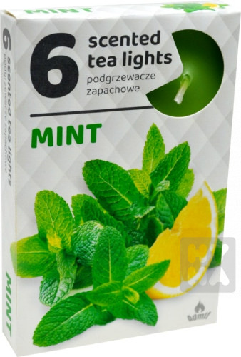 Admit tea light 6ks Mint