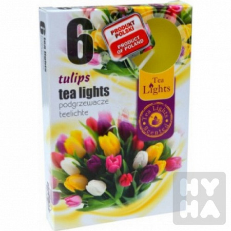 detail Admit tea light 6ks Tulips