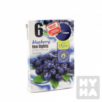 Admit tea light 6ks Blueberry