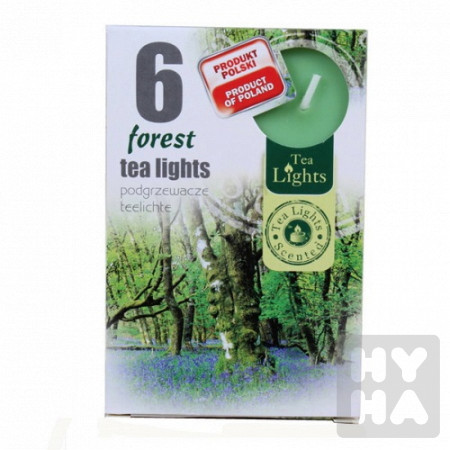 detail Admit tea light 6ks Forest