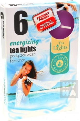 Admit tea lights 6ks Energizing