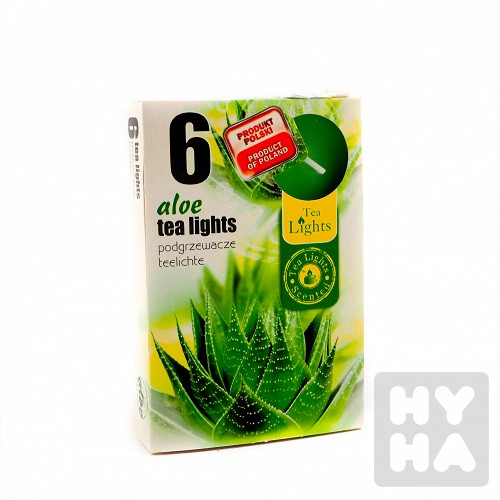 Admit tea light 6ks Aloe vera