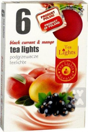 detail Admit tea lights 6ks Black currant, mango