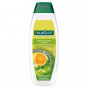náhled Palmolive šampón 350ml Fresh citrus