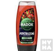 Radox 250ml SG M 3v1 Povzbuzení Goji a Kofein