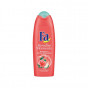 náhled Fa sprchový gel 250ml Paradise moments