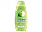 náhled Schauma shampon 400ml clean a fresh